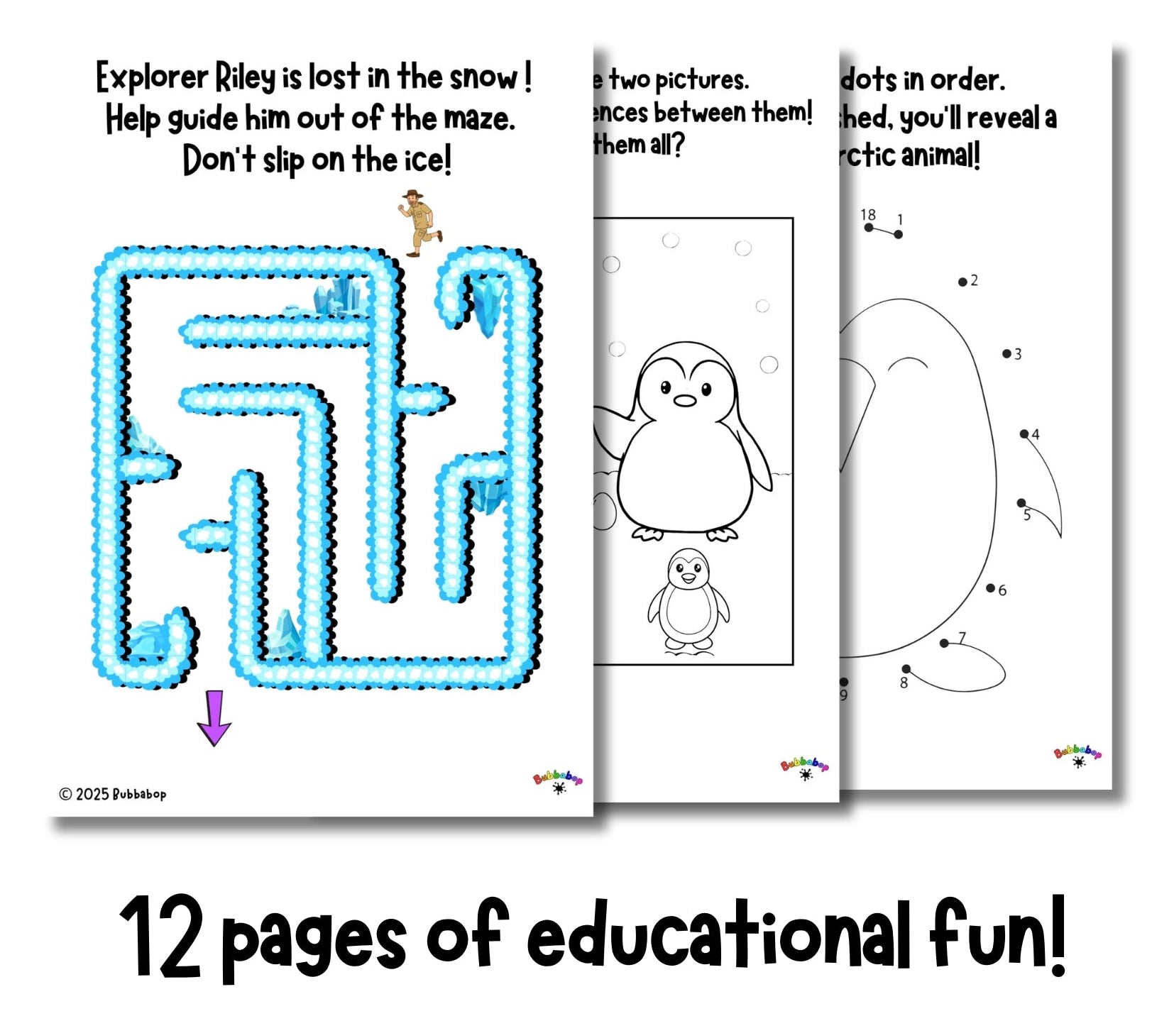 Explorer Riley: Polar Adventure (PDF)